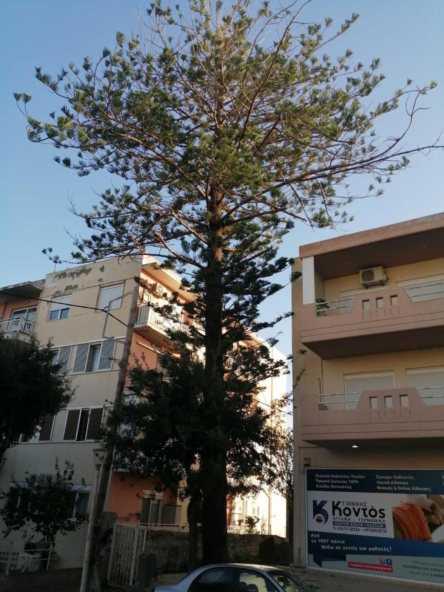 Apartment 29 Rhodes City المظهر الخارجي الصورة